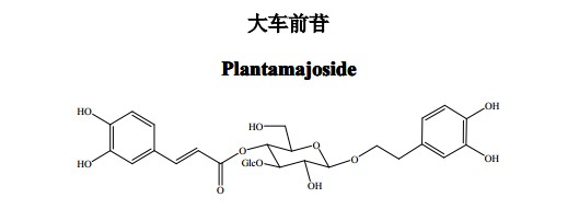 大車前苷(Plantamajoside)中藥化學對照品