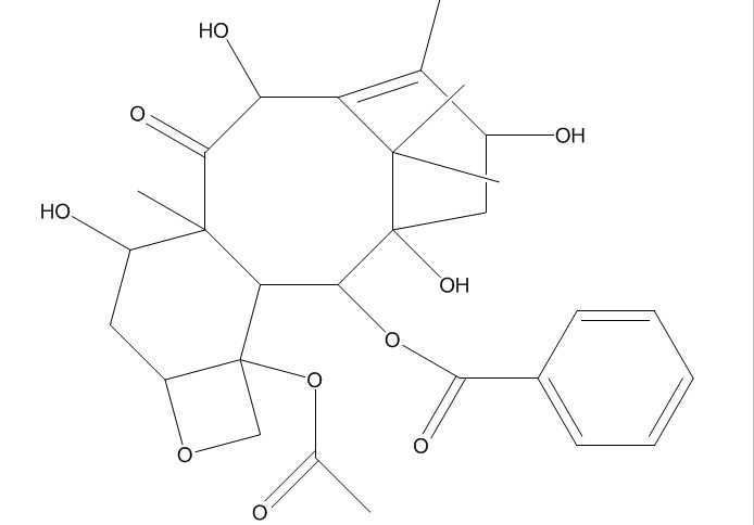 10－脫乙酰基巴卡丁III