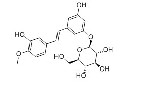 土大黃苷對照品