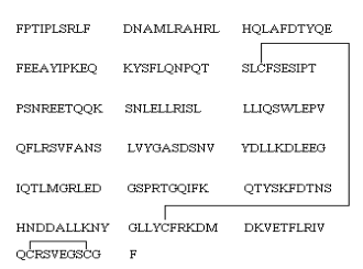 重組人生長激素標準品