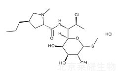 鹽酸克林霉素標準品