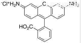 羅丹明110標準品
