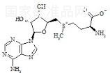 S-Adenosyl-L-Methionine標準品