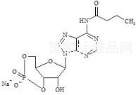 Bucladesine Impurity 2標準品