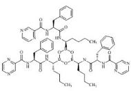 硼替佐米雜質40標準品