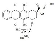 多柔比星雜質5標準品