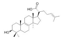 3β-羥基-羊毛甾-8,24-二烯-21-酸