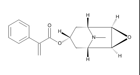阿相東莨菪堿對照品