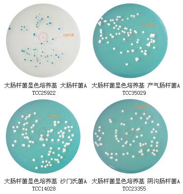 大腸桿菌顯色培養基9cm