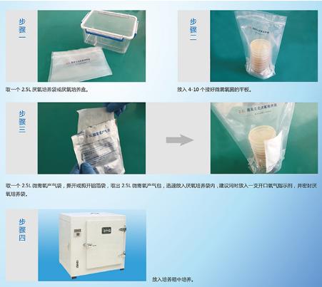 350ml厭氧培養袋