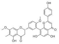 2,3-二氫-6-甲基銀杏素標準品