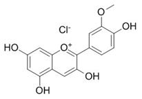 芍藥色素標準品