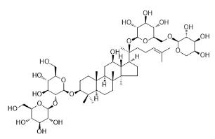 人參皂苷Rb2標準品