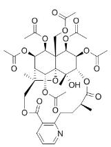 雷公藤新堿標準品