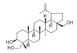 23-羥基樺木醇標準品