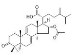 16-O-Acetylpolyporenic acid C標準品