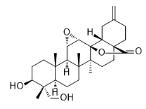 11α,12α-Epoxy-3β,23-dihydroxy-30-norolean-20(29)-en-28,13β-olide標準品