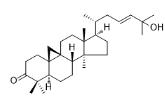25-羥基環木菠蘿-23-烯-3-酮標準品