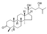 20,24-二羥基達瑪-25-烯-3-酮標準品