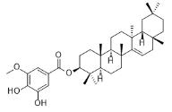 (3,4-Dihydroxy-5-methoxybenzoyl)taraxerol標準品