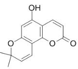 5-羥基邪蒿內酯標準品