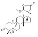 3-Oxo-21α-methoxy-24,25,26,27-tetranortirucall-7-ene-23(21)-lactone標準品