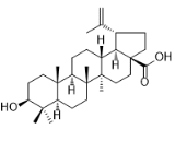 白樺脂酸標準品