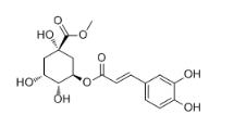綠原酸甲酯標準品