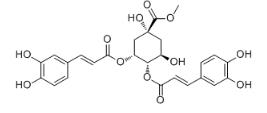 4,5-二咖啡酰奎寧酸甲酯標準品