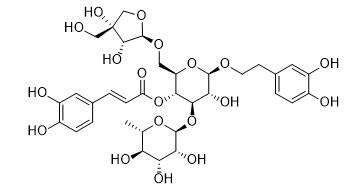 連翹酯苷B標準品
