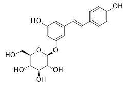 白藜蘆醇苷標準品