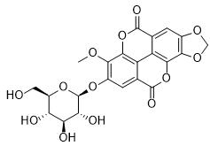 紫樹(shù)甙標(biāo)準(zhǔn)品