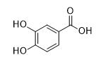 3,4-二羥基苯甲酸標準品