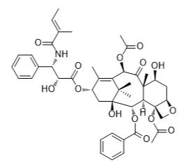 三尖杉寧堿標準品