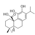 鼠尾草酸標準品