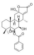 12-去甲基新萘甲酚F標準品