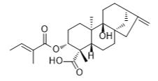 3α-Tigloyloxypterokaurene L3標(biāo)準(zhǔn)品