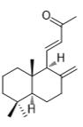 15,16-二去甲-8(17),11-賴百當二烯-13-酮標準品