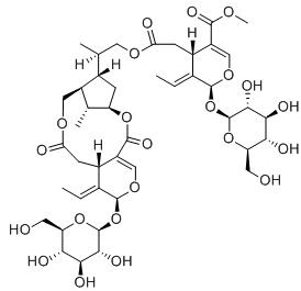 迎春花苷標準品