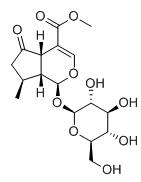 馬鞭草苷標準品