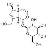 桃葉珊瑚苷標準品
