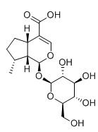 8-表去氧馬錢子酸標(biāo)準(zhǔn)品