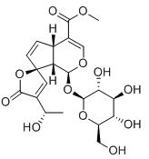 雞蛋花甙標準品