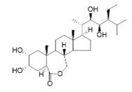 28-高蕓苔素內(nèi)酯標(biāo)準(zhǔn)品