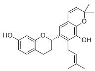 小構樹醇 B標準品