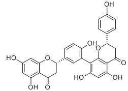 四氫穗花杉雙黃酮標準品
