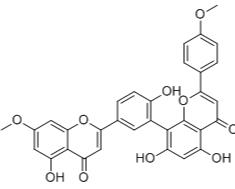 羅漢松雙黃酮B標準品